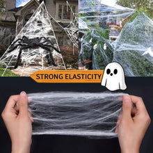 Load image into Gallery viewer, Halloween Giant Spider Web + 49'' Giant Spider + Mini Spiders Decor