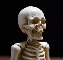 Load image into Gallery viewer, Bone Stretchers Skeletons in Yoga Poses Statue Set