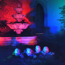 Load image into Gallery viewer, Plastic Skeleton