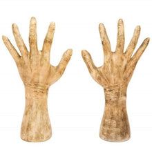 Load image into Gallery viewer, Solar Devil Hand Claw Resin