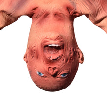 Load image into Gallery viewer, Plastic Skeleton