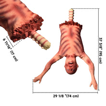 Load image into Gallery viewer, Plastic Skeleton