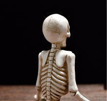 Load image into Gallery viewer, Bone Stretchers Skeletons in Yoga Poses Statue Set