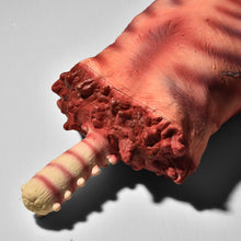 Load image into Gallery viewer, Plastic Skeleton