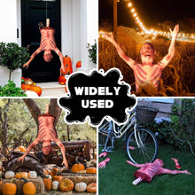 Load image into Gallery viewer, Plastic Skeleton