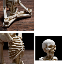 Load image into Gallery viewer, Bone Stretchers Skeletons in Yoga Poses Statue Set