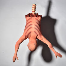 Load image into Gallery viewer, Plastic Skeleton
